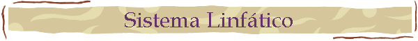 Sistema Linfático