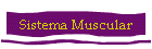 Sistema Muscular