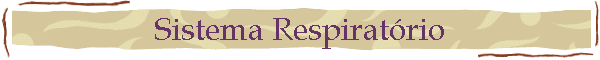 Sistema Respiratrio