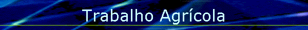 Trabalho Agrcola